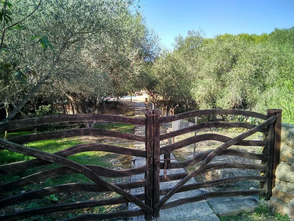 Gospodarstwo agroturystyczne Finca Son Sureda Agroturismo Manacor