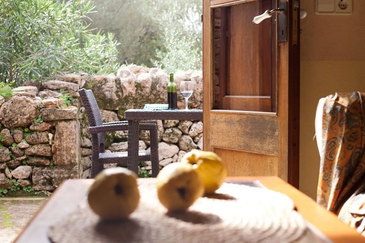 Gospodarstwo agroturystyczne Finca Son Sureda Agroturismo Manacor